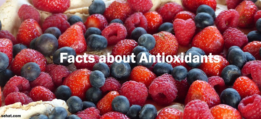 Top Ten Interesting Facts on Antioxidants