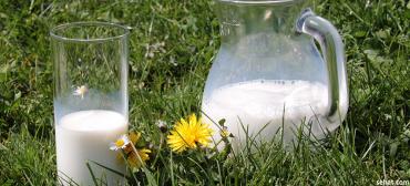 Understanding What is Lactose Intolerance
