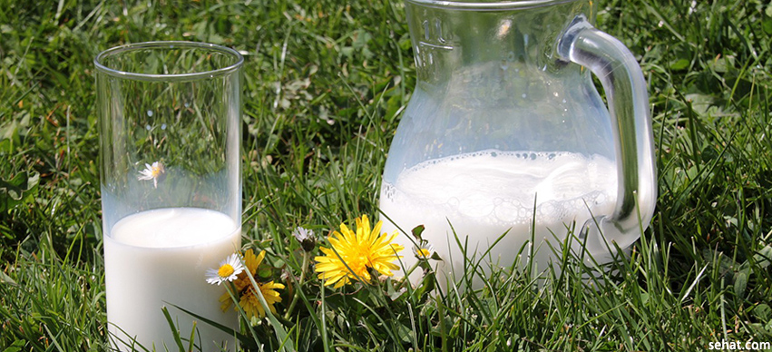 Understanding What is Lactose Intolerance