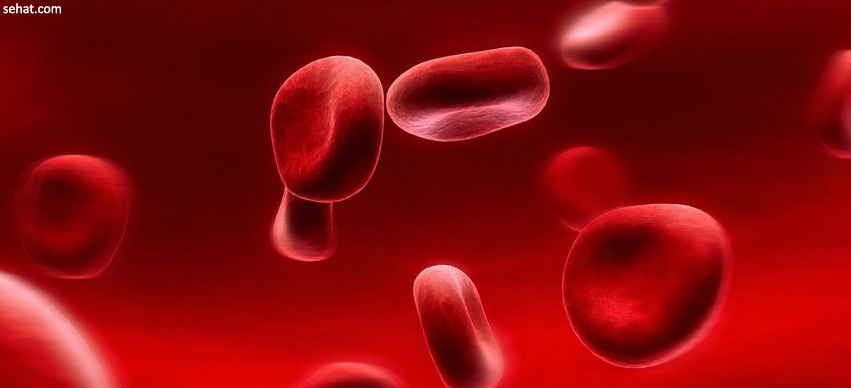 What is Blood Cancer?