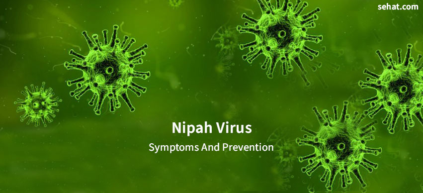 What Is Nipah Virus And How To Prevent It?