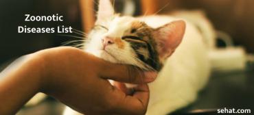 Zoonotic Diseases - Definition And Examples