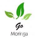 Dt. Priyatama Srivastava Dietitian in Go Moringa Nutri Diet Clinic Gurgaon