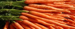 Carrots,