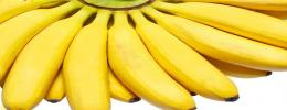 Bananas,