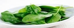 Spinach,