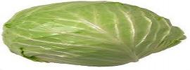 Cabbage,