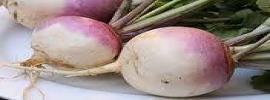 Turnips,