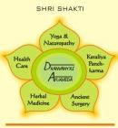 Dhanvantri Ayurveda Clinic Panchsheel Nagar, 