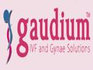 Gaudium Ivf And Gynae Surrogacy Centre Greater Kailash ,