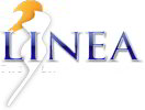 Linea Cosmetic Surgery Center