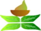 Ayurveda Sanjeevani Herbal Clinic Delhi