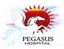 Pegasus Hospital