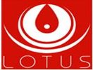 Lotus Hospital