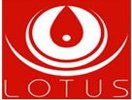 Lotus Hospital Nashik