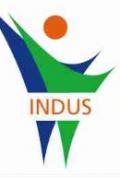 Indus International  Hospital