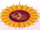 Dream Flower IVF Centre Kasaragod