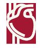 Dr.M.R.M. Babu Heart Clinic