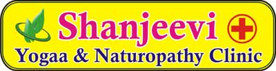 Shanjeevi Yogaa & Naturopathy Clinic Chennai