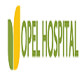 Opel Hospital Pune