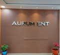 Aurum ENT Head and Neck Specialty Centre Hyderabad