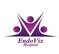Endoviz Hospital
