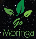 Go Moringa Nutri Diet Clinic Gurgaon