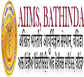 All India Institute of Medical Sciences (AIIMS)