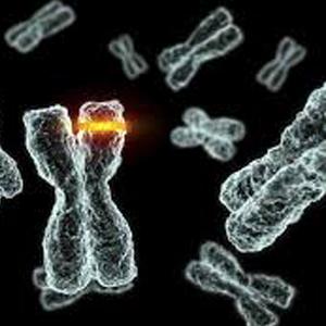 Gene-mutation not just affects the immediate offspring but also the future generations: