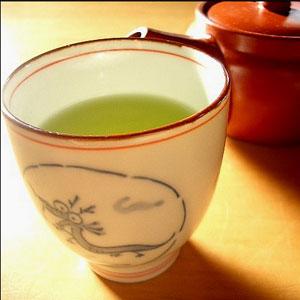 Researchers unveil the role of Green Tea in reducing the risk of Pancreatic Cancer